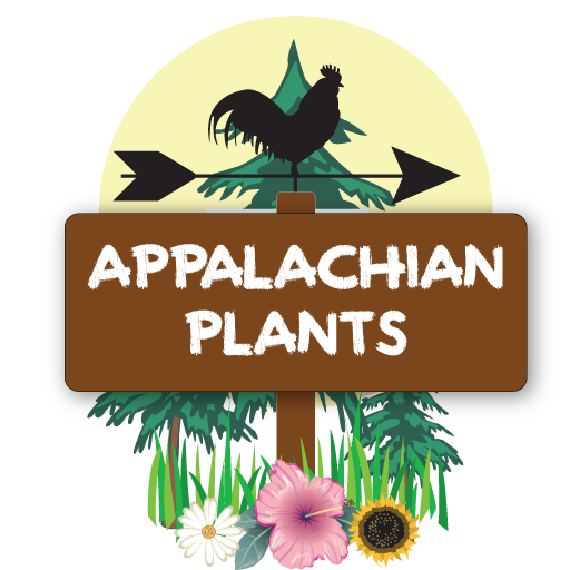 appalachianplants