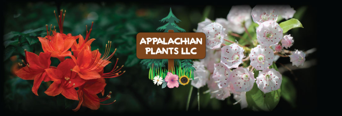 Appalachian-Plants-Slider-Logo-2