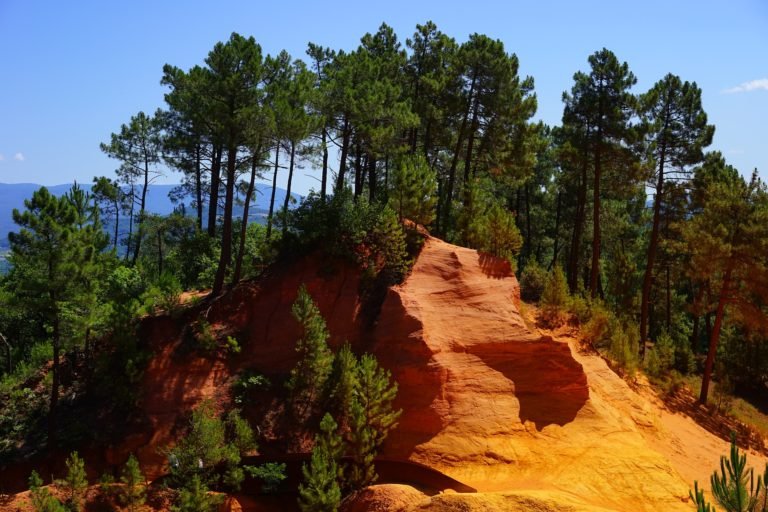 Red Clay Soil Ultisol